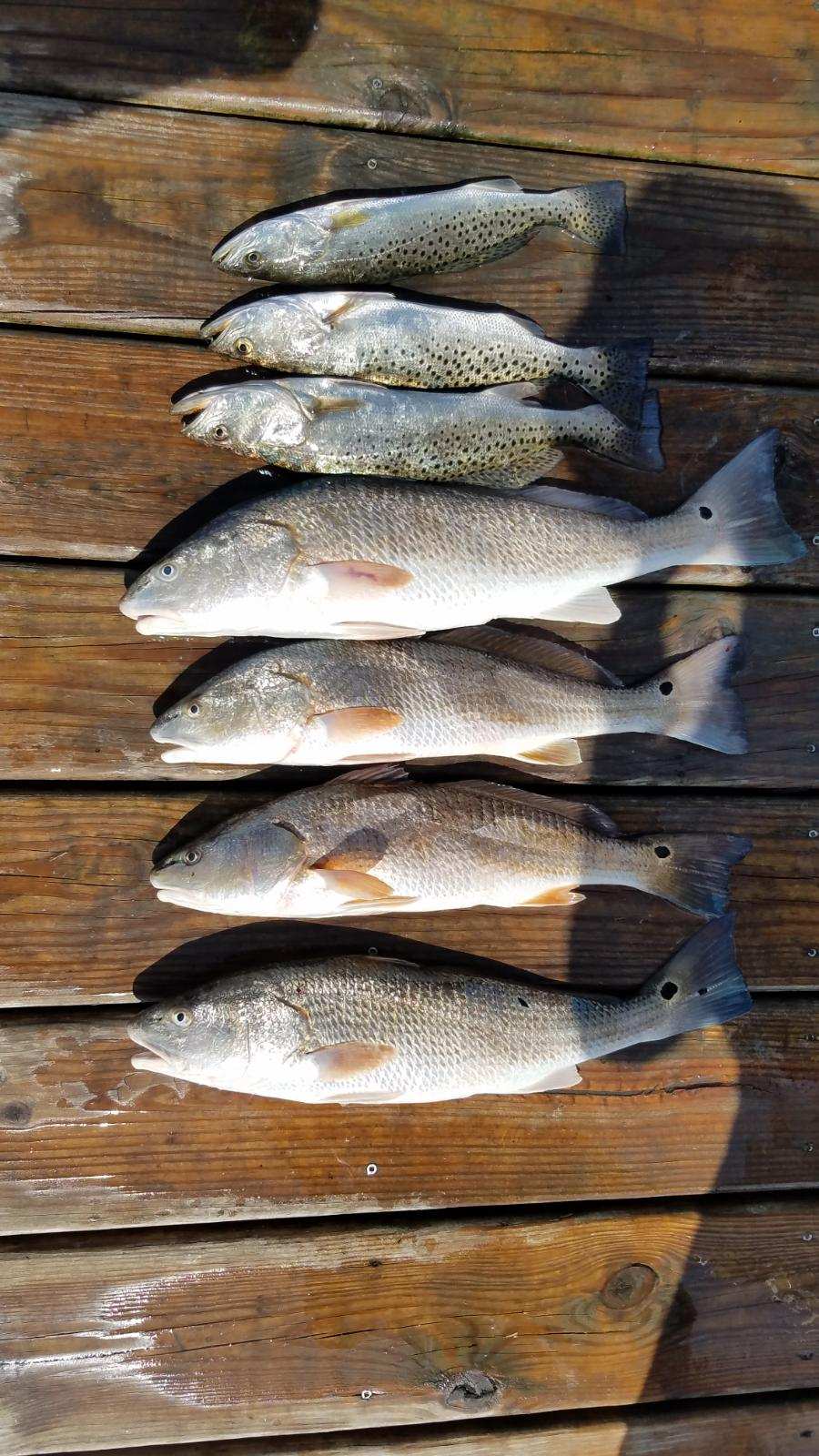 Speck-Tackler Fishing