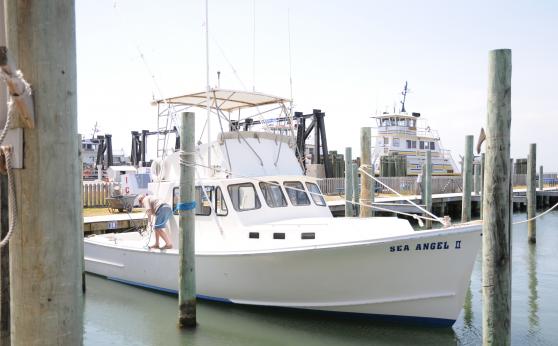 Sea Angel II with Captain Bruce Armstrong