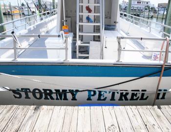 Stormy Petrel II at Hatteras Landing Marina