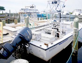 Hallelujah Charters at Teach's Lair Marina