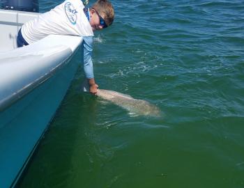 Hatteras Vacation Destination Drum Trout Cobia Beach Fun 