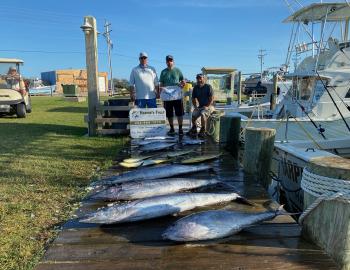 Harper's Folly Fishing Teach's Lair