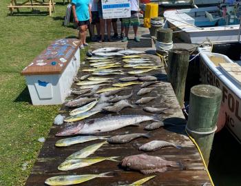 Dunn Deal Offshore Sportfishing Hatteras, NC