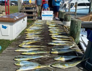 Dunn Deal Offshore Sportfishing Hatteras, NC