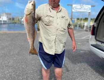 Red Drum Surf Fishing Hatteras Teach's Lair Marina