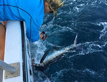 Fishing on the Stormy Petrel II