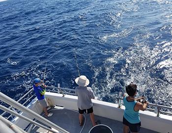 Fishing on the Stormy Petrel II