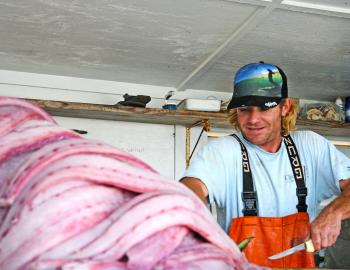 Fish Cleaning at Teach's Lair Marina