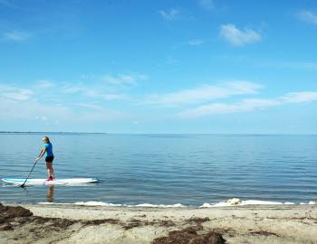 Stand Up Paddleboard Rentals OBX