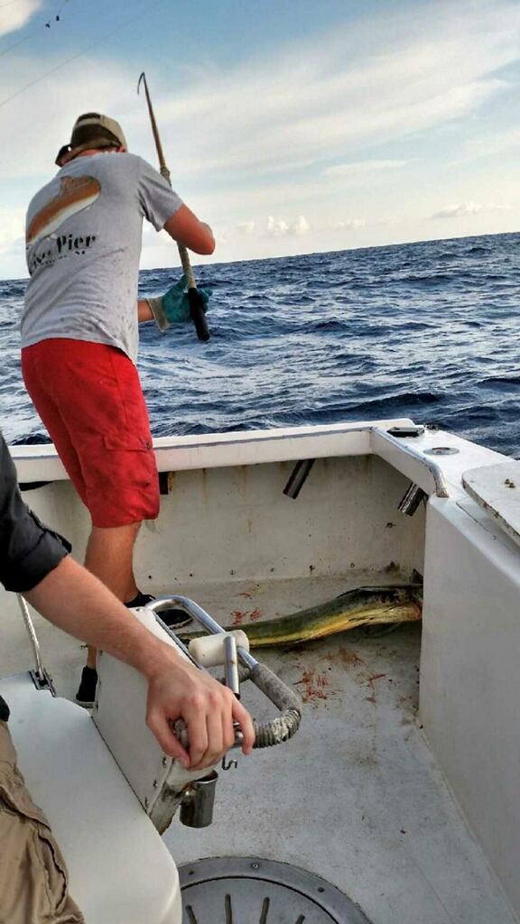 Fishing on Sea Angel II with Captain Bruce Armstrong