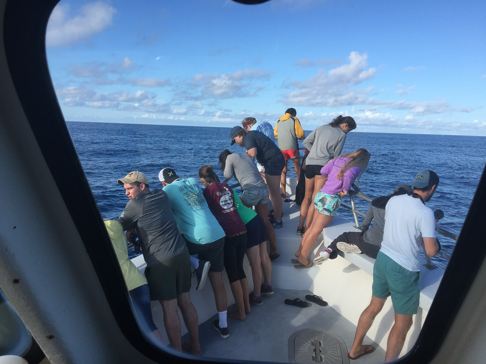 Fishing with Captain Brian on the Stormy Petrel II