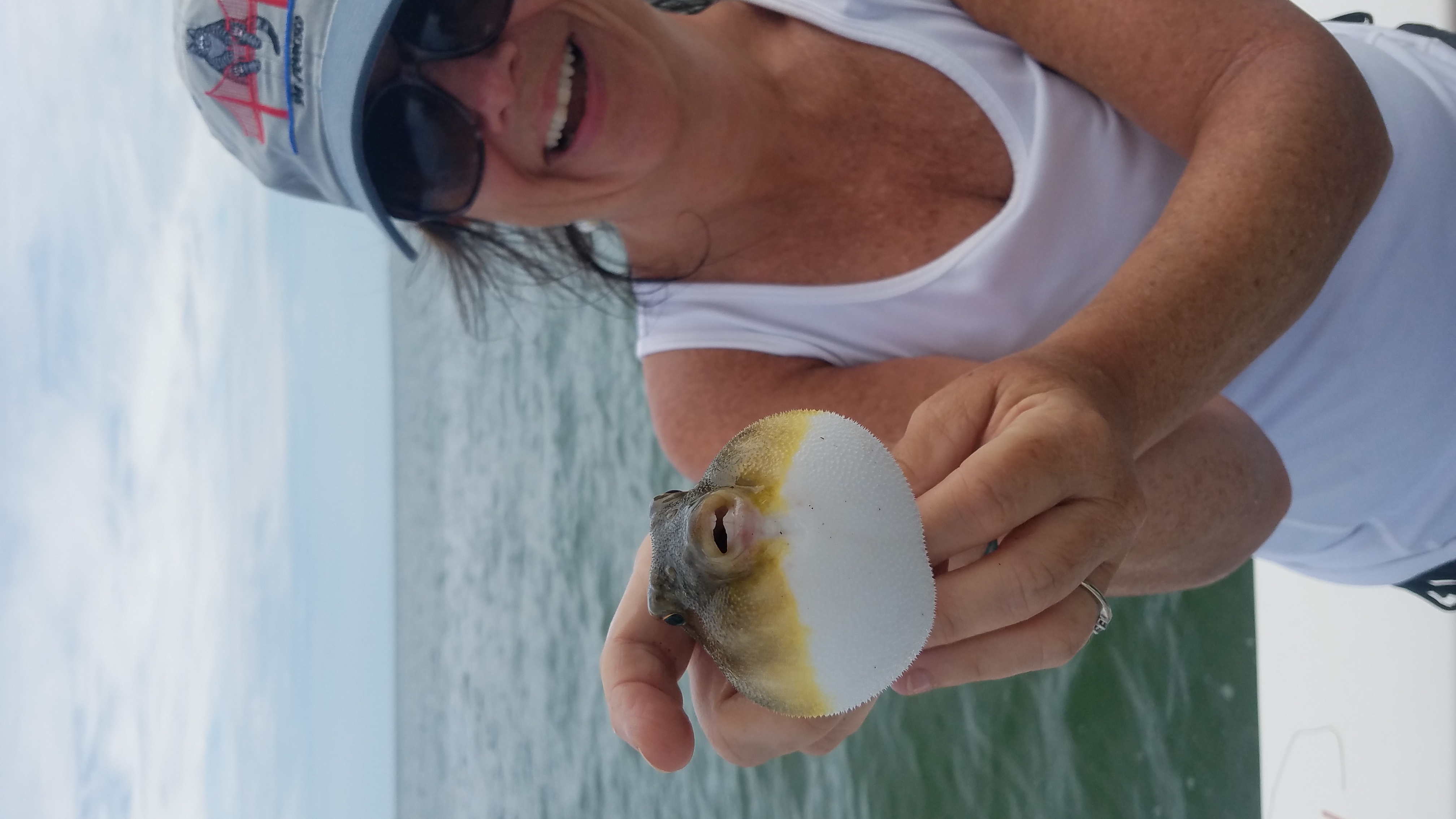 Speck-Tackler Blowfish