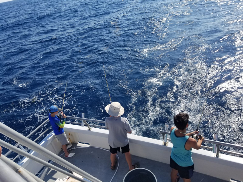 Fishing on the Stormy Petrel II