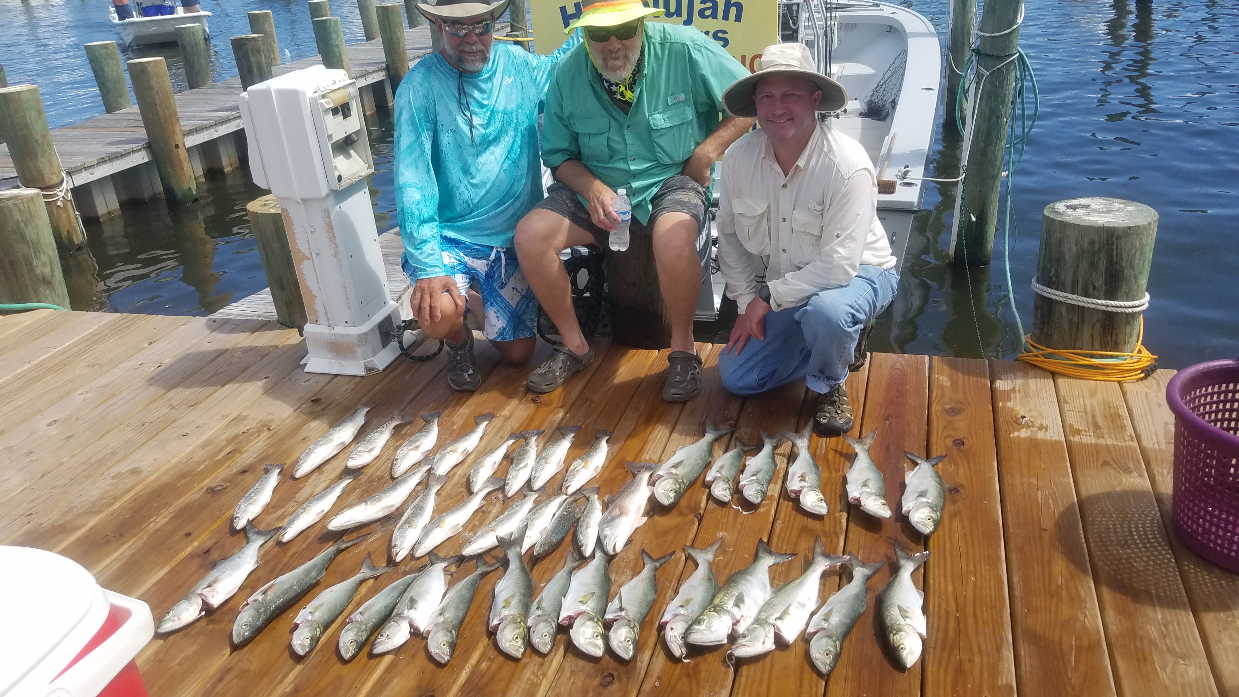 Hallelujah Fishing Charters