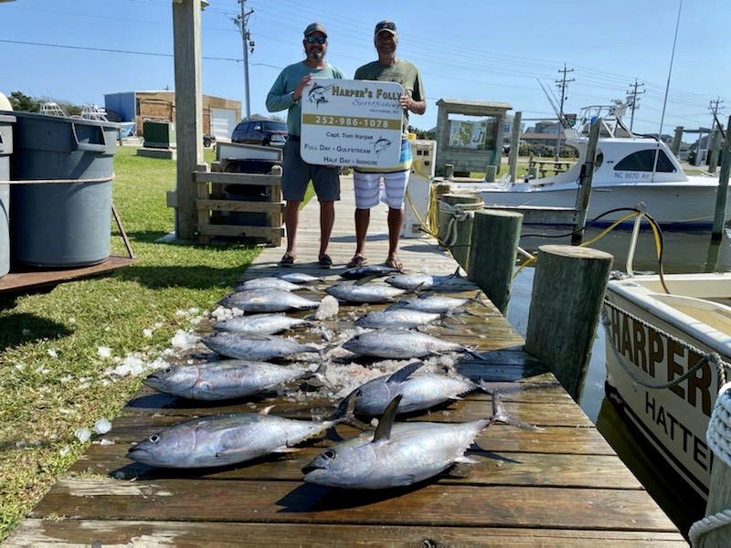 Hatteras Offshore Fishing Harper's Folly Teach's Lair