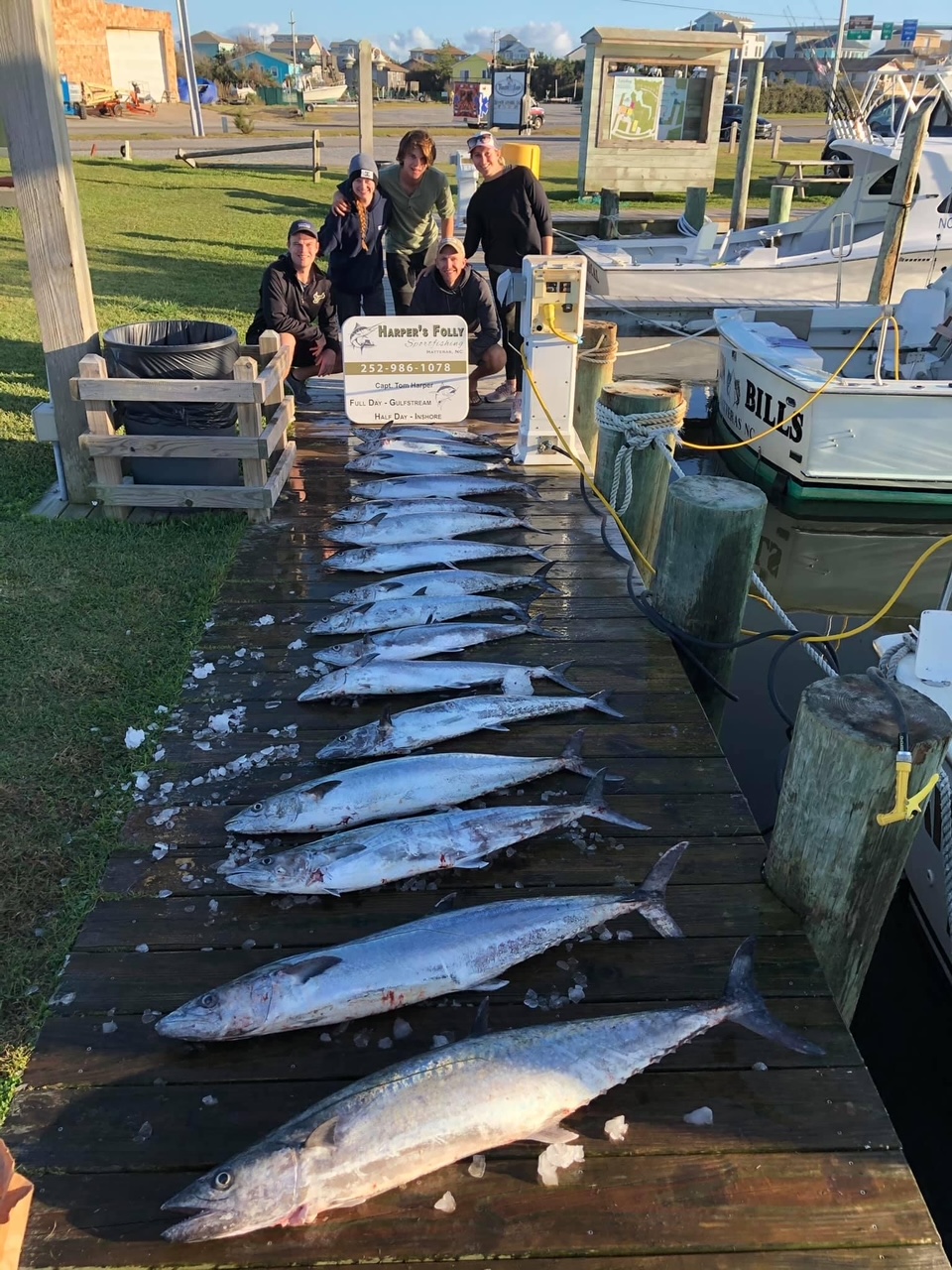 Harper's Folly Teach's Lair King Mackerel November