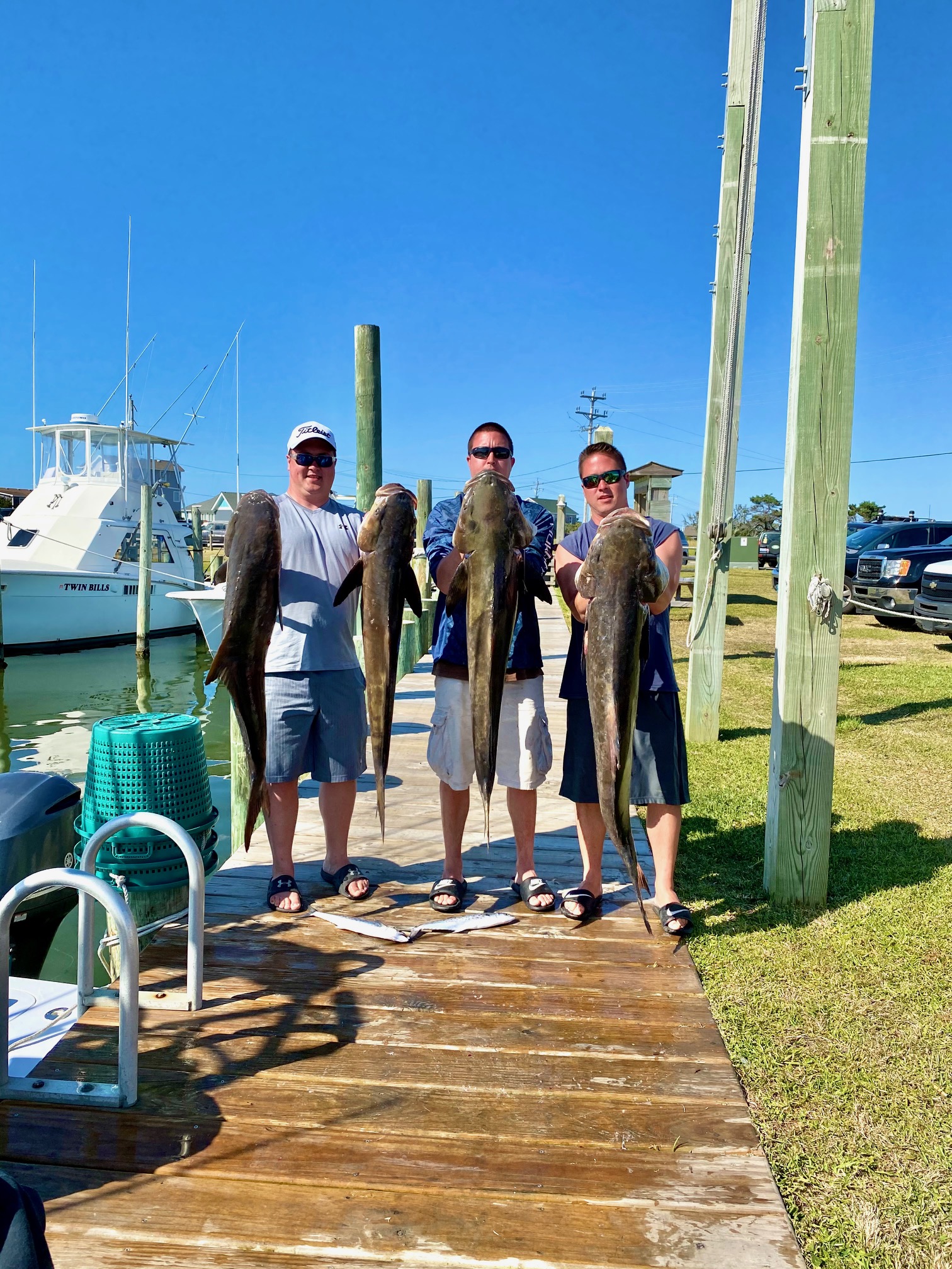 Bak Bar Inshore Charters Teach's Lair Hatteras Cobia