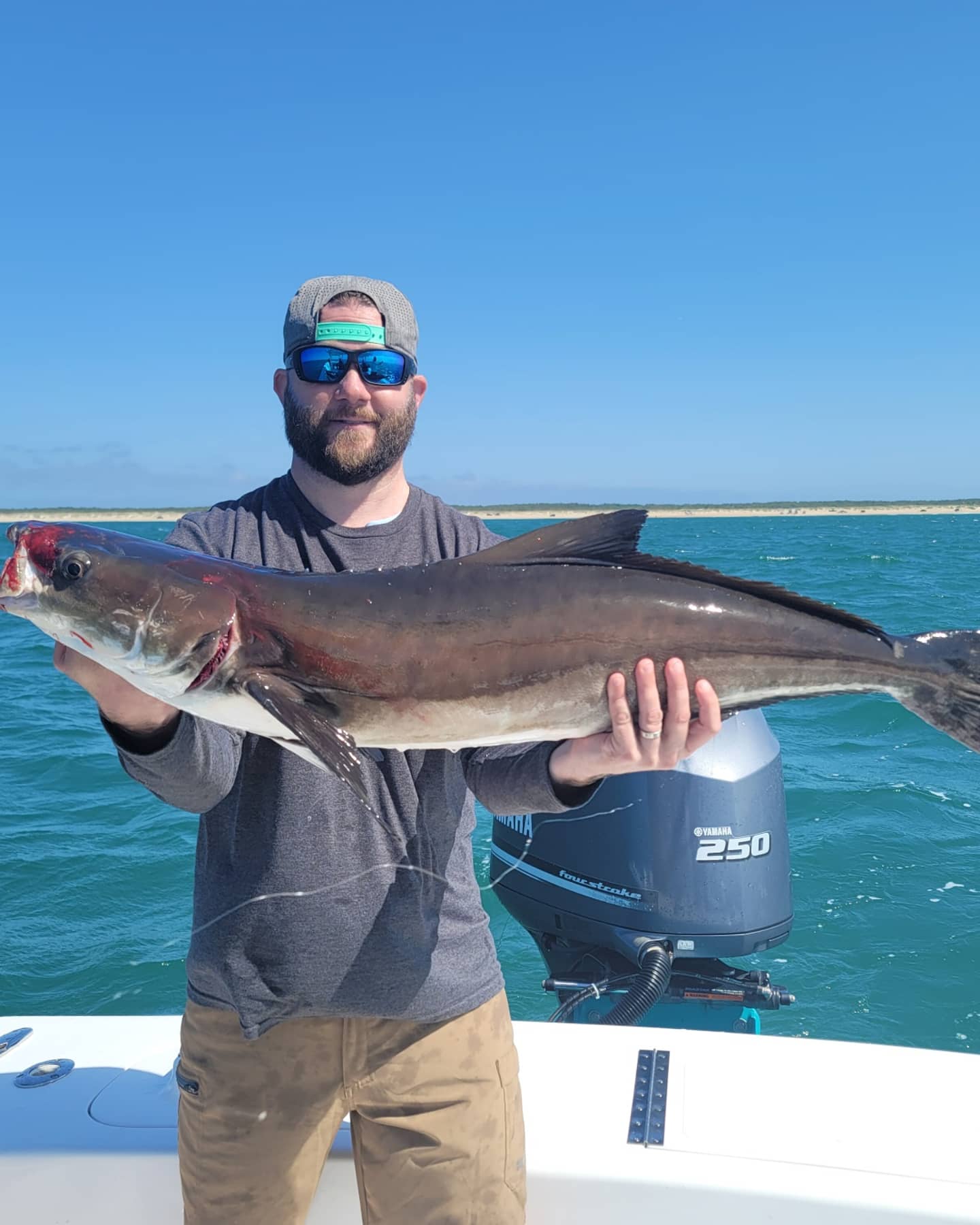 Cobia Fishing Charters Hatteras Bak Bar