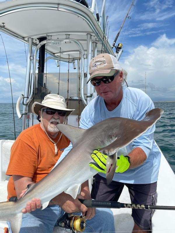 Speck-Tackler Fishing Teach's Lair Hammerhead