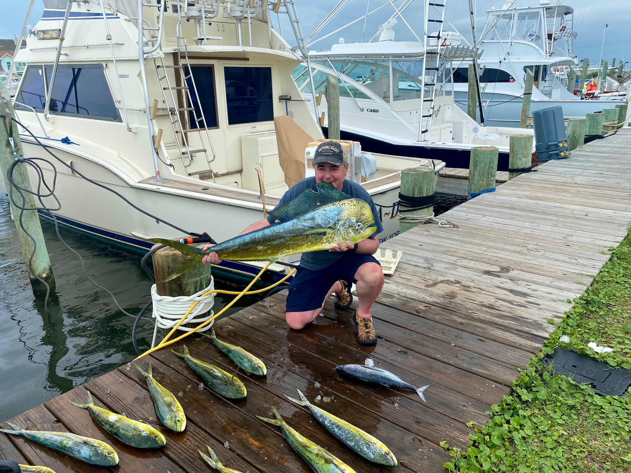 Dunn Deal Offshore Fishing Charters Dolphin Hatteras