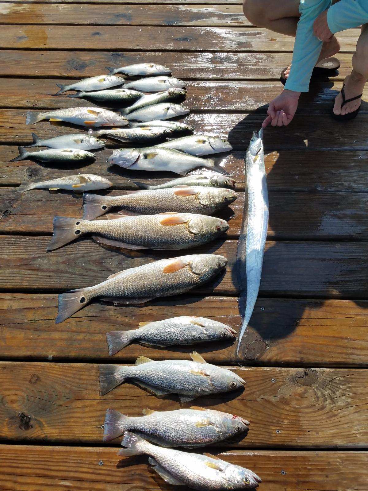 Speck-Tackler Fishing Teach's Lair Hatteras Inshore Charters