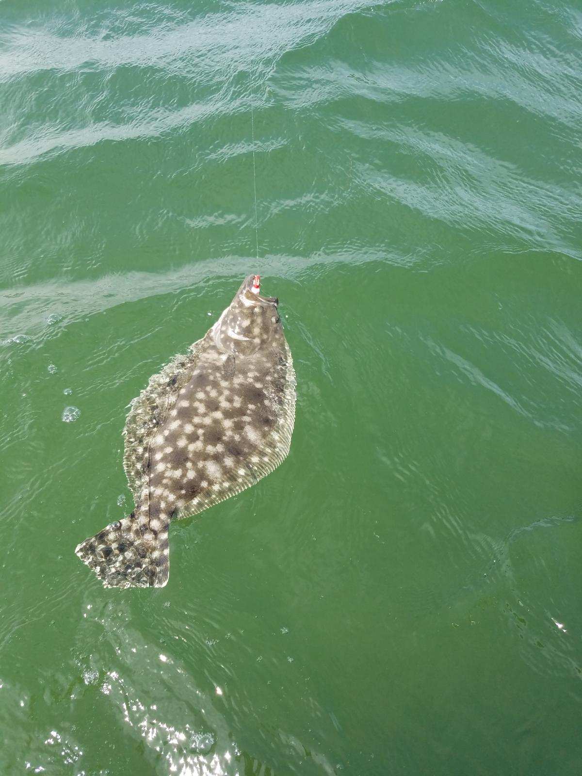 Flounder Fishing Hatteras