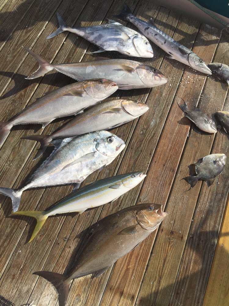 Fishing with Captain Brian on the Stormy Petrel II