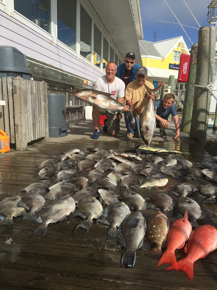 Fishing on the Stormy Petrel