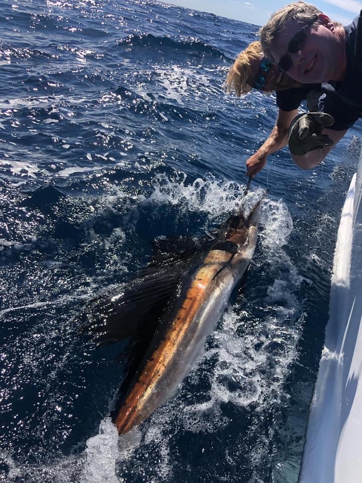 Longer Days Offshore Fishing Teach's Lair Sailfish