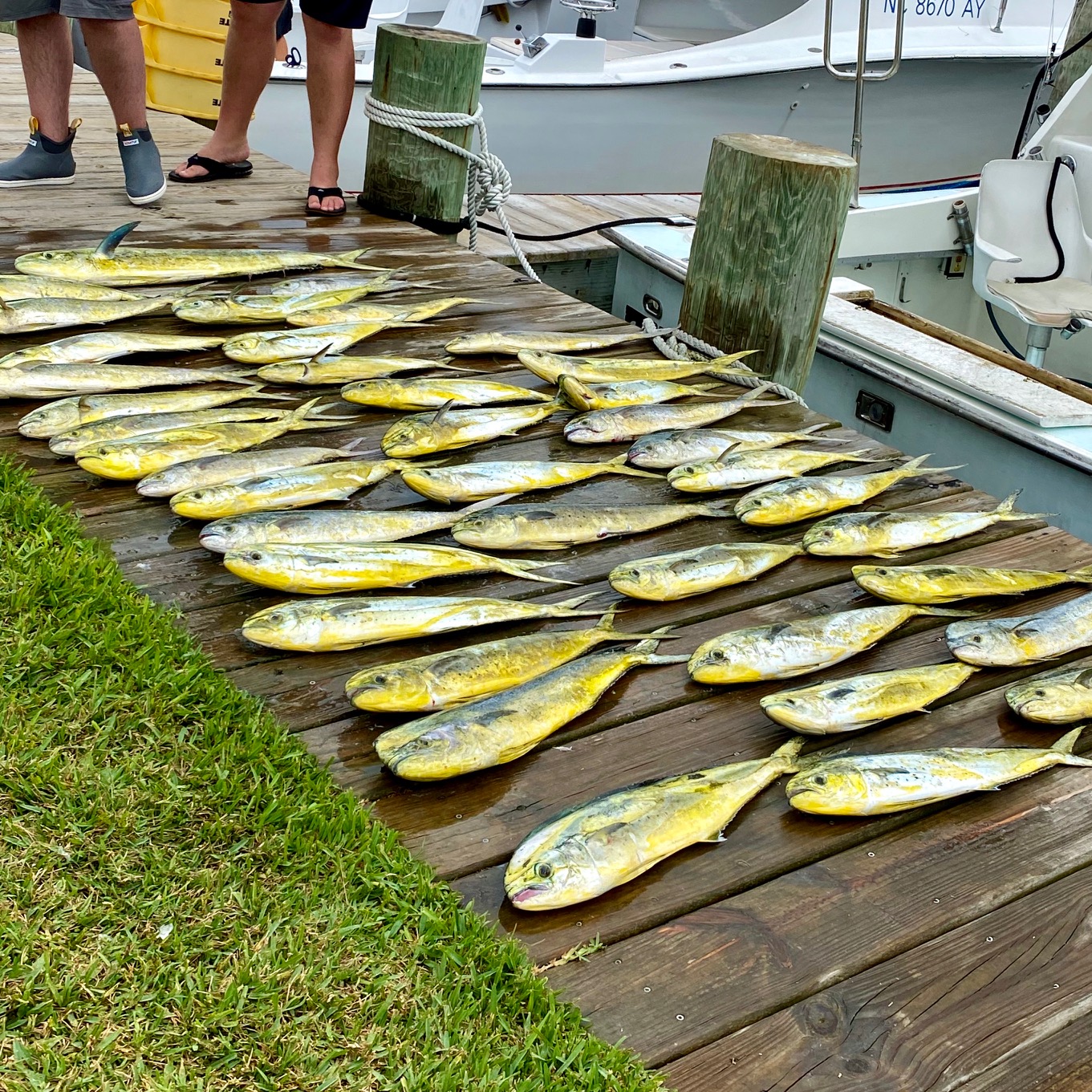 Twin Bills 7/720 Mahi Dolphin Teach's Lair