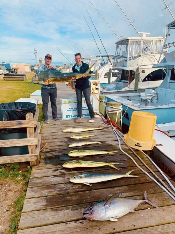 Rabid Tuna Sportfishing Hatteras Dolphin