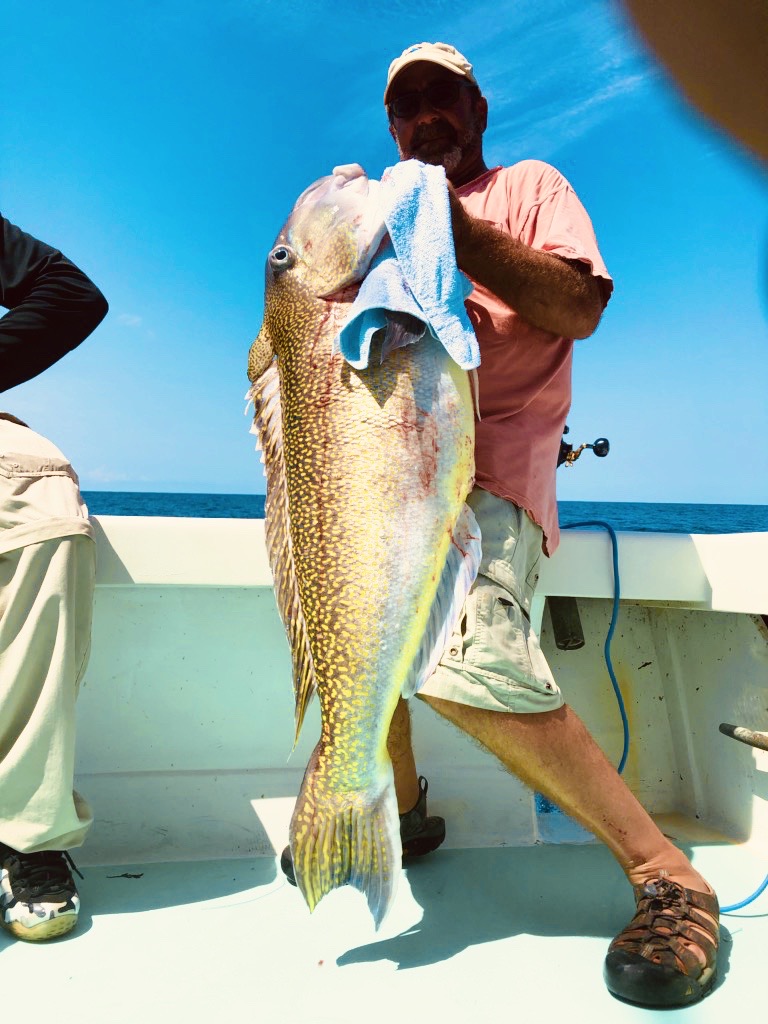 Rabid Tuna Tilefish