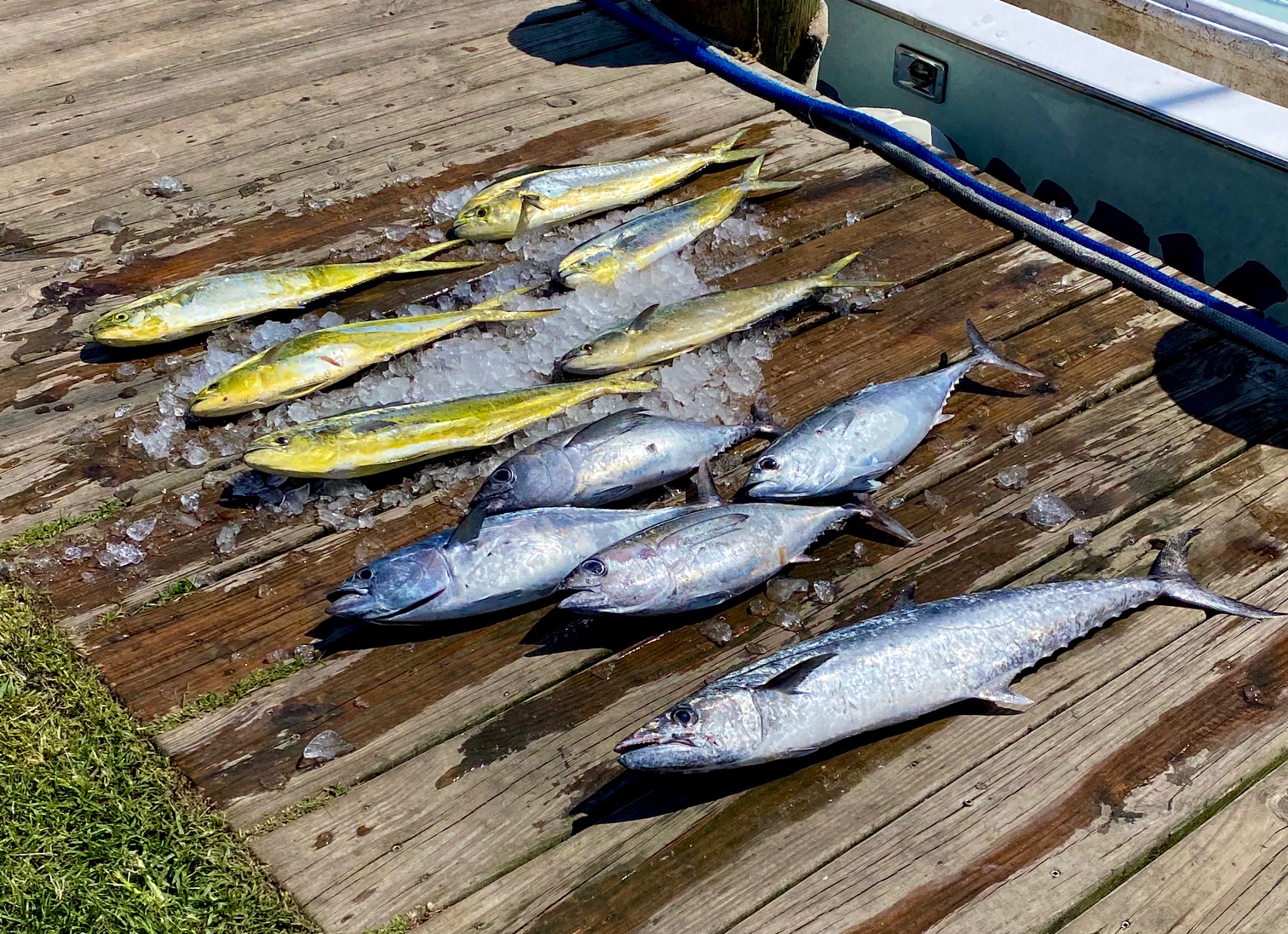 Fishing Report Hatteras