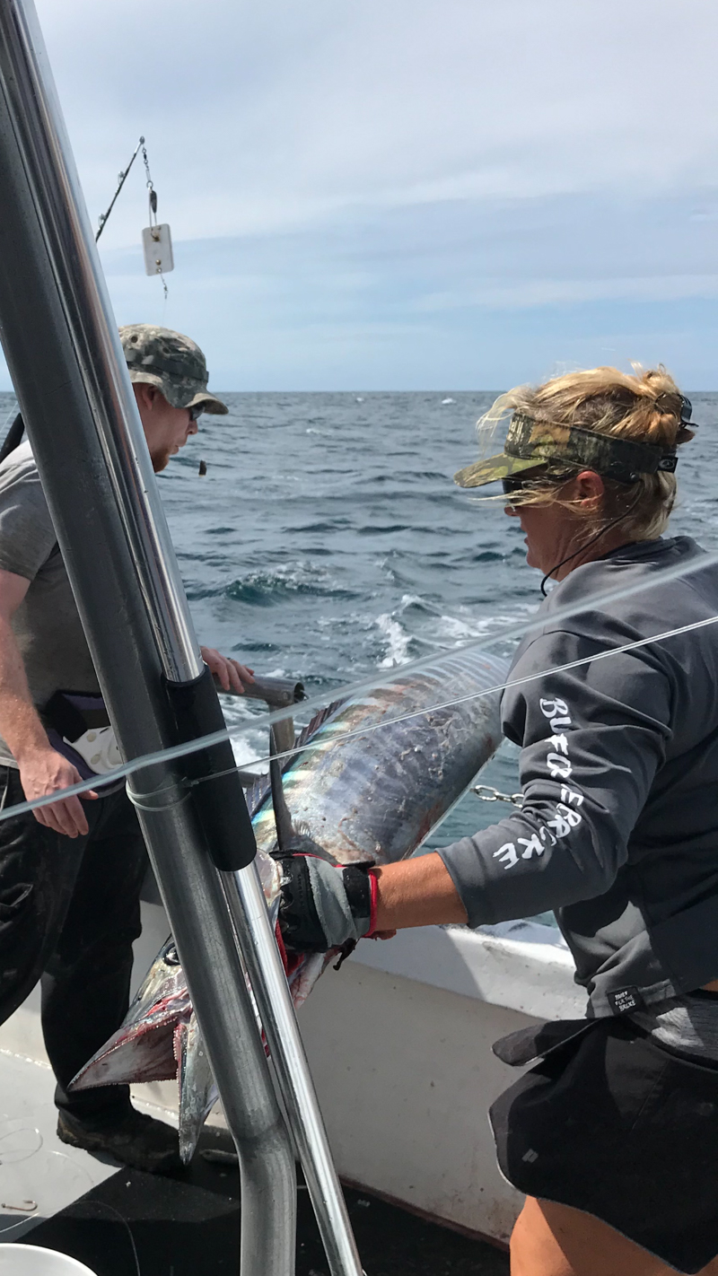 Fishing on the Stormy Petrel II