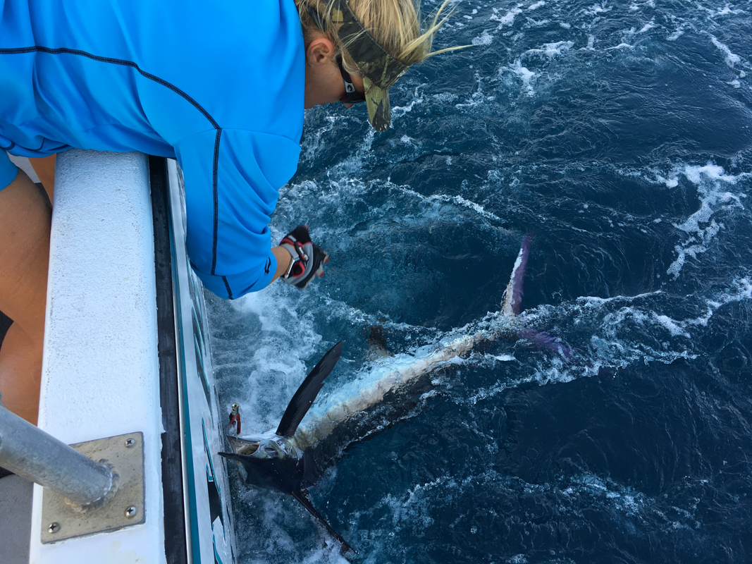 Fishing on the Stormy Petrel II